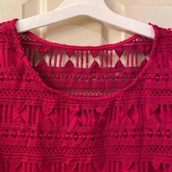 Junco Y Arena Dress Pink Embroidered Lace 3/4 Sleeves Fringe WM SZ 40 Medium 💖 - Picture 5 of 14